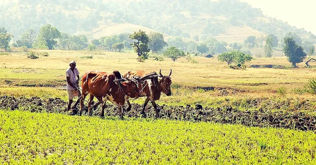 100 Farmers Receive Counselling for Clinical Depression in Suicide-Prone Maharashtra
