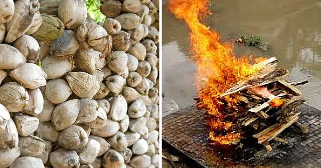 This Novel Initiative Will Haul Coconut Shells All the Way to Varanasi Pyres and Save Trees