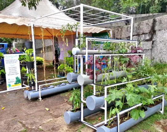 Growing Soil-Less With Hydroponics: An Introduction to Innovative Farming at Home