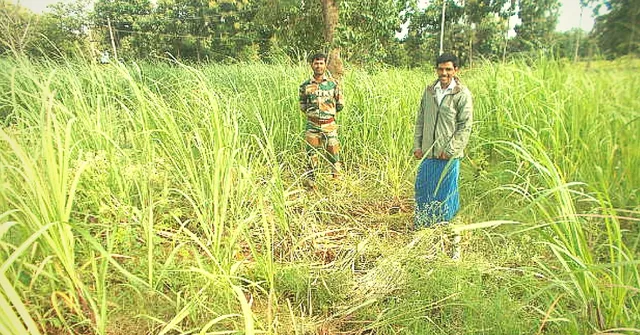 How a Toll Free Number Is Helping Villagers in Karnataka Co-Exist with Wild Animals Peacefully