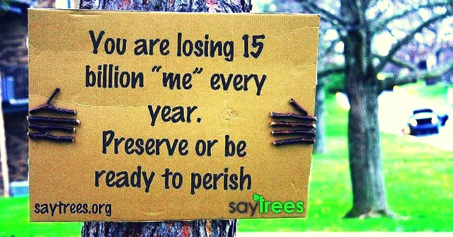 If Trees Were to Organize a Silent Protest, These Are the Things They'd Say
