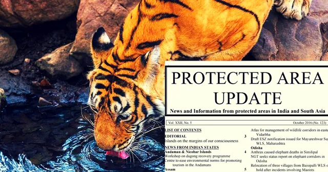Protected Area Update: A Go-To Guide for India's Wildlife Sanctuaries and Wildlife National Parks
