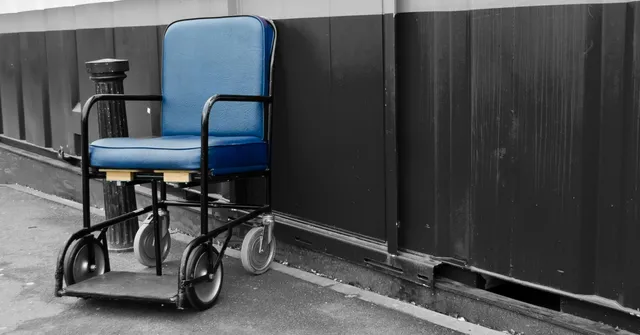 Celebrating Disabilities: Author Malini Chib Sheds New Light on Disability through Her Book