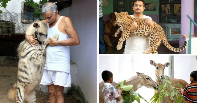 This Amazing Family Has Saved Hundreds of Wild Animals from Being Hunted and Also Lives with Them