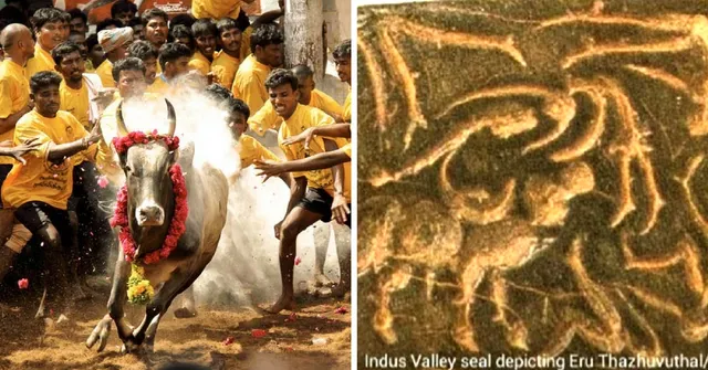 To Ban or Not to Ban: Jallikatu, Its Interesting History and Both Sides of the Debate