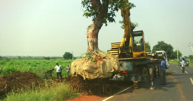 Why Cut Down Trees When They Can Be Translocated? Meet the Man Who Has Moved 5000 Trees This Way!