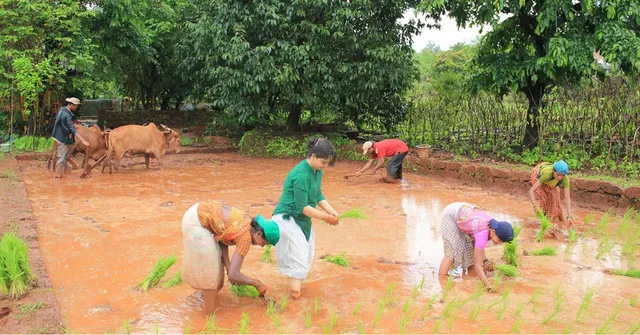 How This Mumbai Couple Juggles Careers With Running an Organic Farm in Rural Maharashtra