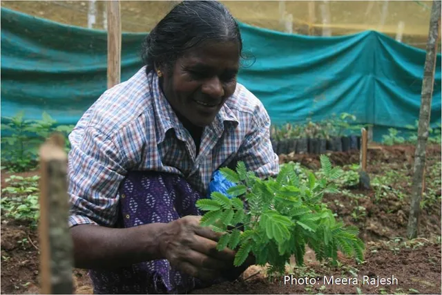 How We Took Degraded Land in the Western Ghats & Turned It Into a Thriving Forest in Just 7 Years