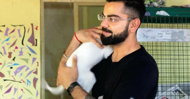 Virat Kohli Just Adopted 15 Destitute Dogs in Bengaluru and Won Everyone's Hearts, Again
