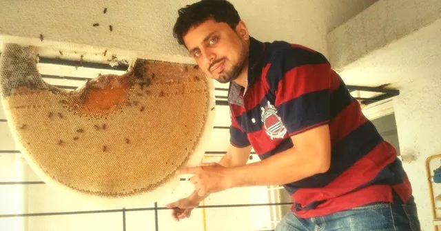 This Software-Engineer-Turned-Bee-Keeper Has Saved 130 Beehives by Relocating Them