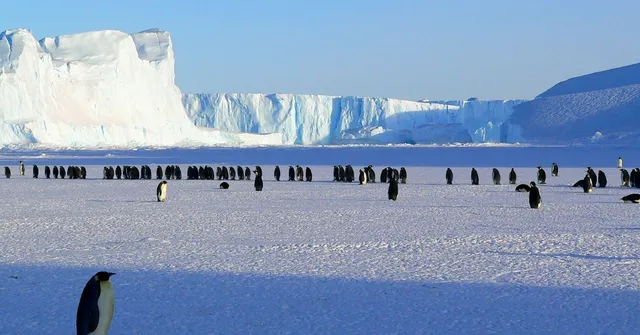 From India to Antarctica: First-Ever Indian Luxury Cruise to Continent Will Set Sail This December!