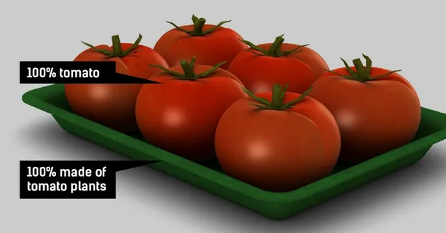 This Team Purchases Farm Waste From Farmers to Make Biodegradable Tableware, Replacing Plastic