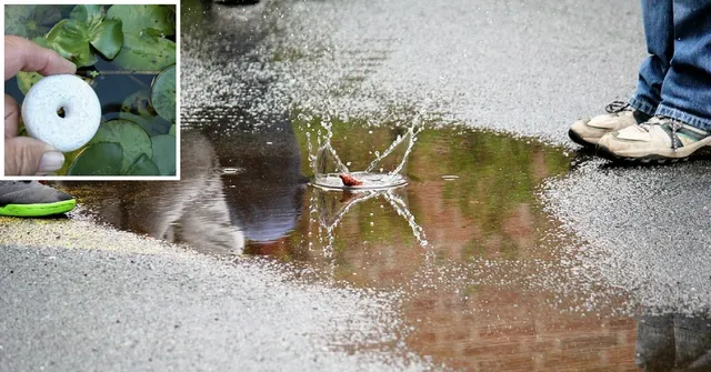 A Manipal-Based Company Has Developed This Unique 'Sweet Cake' to Kill Mosquitoes