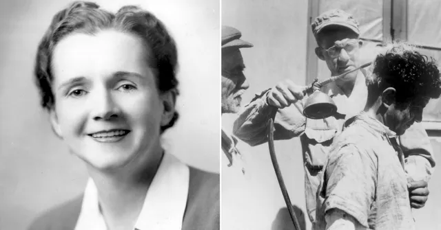 Mocked for Being a 'Woman Studying Genetics,' How Rachel Carson Got DDT Banned