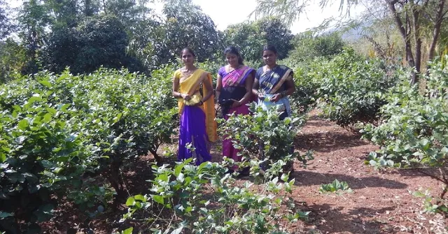 How One Home Maker Became a Paddy Farmer, Floriculturist and a Village Leader