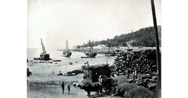 Women, Salt and Satyagraha: A Look at the Historic Protest at Mumbai's Chowpatty Beach in 1930