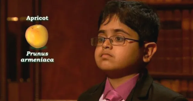 'I Think I'm a Genius': 12-Year-Old Indian-Origin Boy Becomes an Overnight Sensation