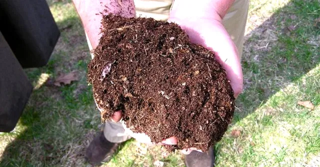 While Others Struggle with Waste, This Mumbai High-Rise Created 100 Kg of Manure!