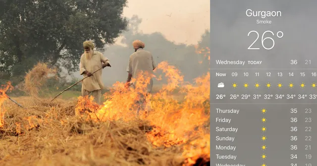 If You Live in the Delhi/NCR Region, Here's How You Can Combat Air Pollution
