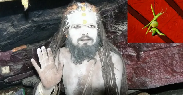 Karnataka's Anti-Superstition Bill: Here's a Look at What Is Banned