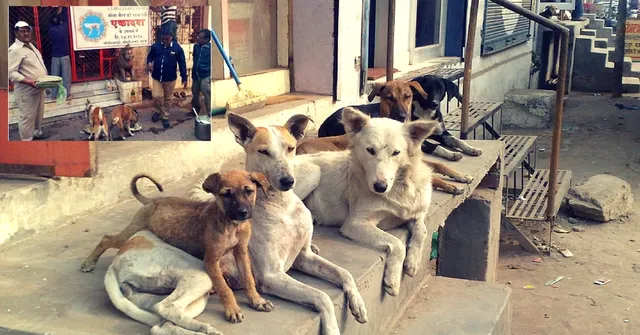Cuttack Residents' Dignified Funeral for a Stray Dog Will Melt Your Heart!