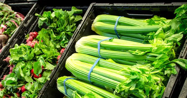 This Box Will Keep Your Veggies Fresh for Two Days, Without Refrigeration!
