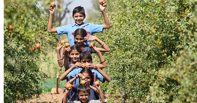 5 Unique Initiatives That Take Tree Plantation to the Next Level