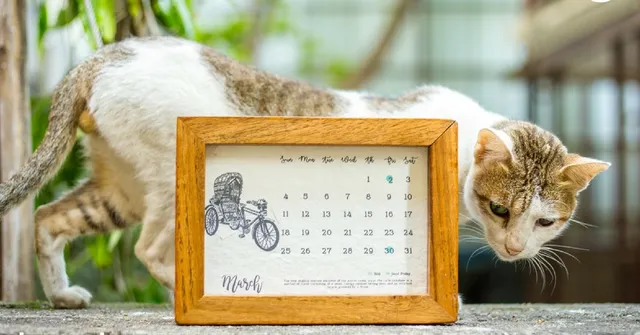 You Can Create a Garden Using a Calendar - All You Need Is This Special Paper!