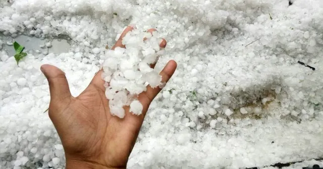 Battered By Hail, Maharashtra Farmers May Find A Saviour In These 'Cannons'!