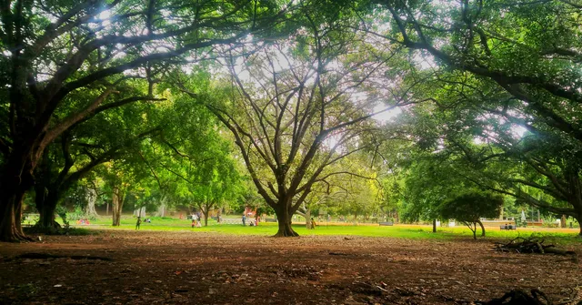 Bengaluru Stands up for Its Trees, Makes Govt. Scrap Controversial Amendment!