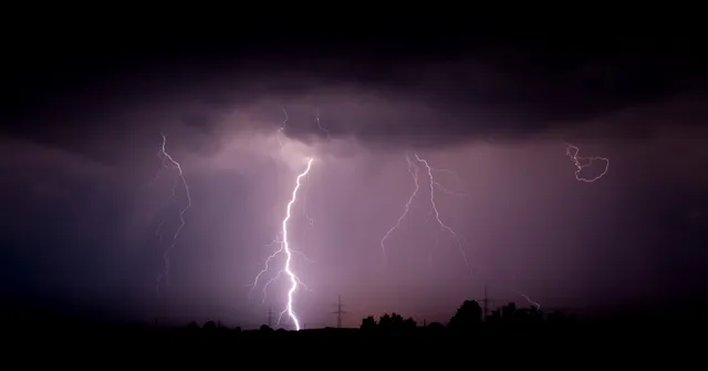 Odisha District's Unique Idea: Grow Palm Trees To Curb Lightning-Related Deaths!