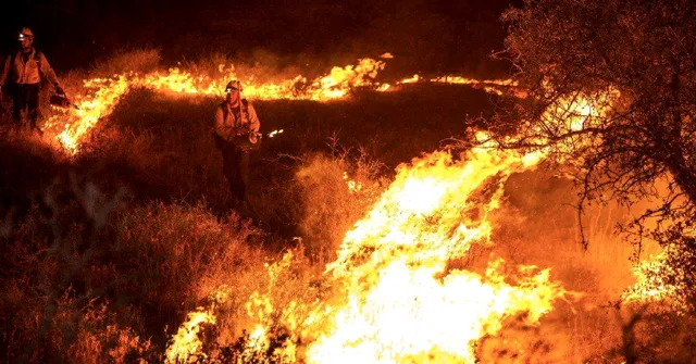 How IAF Choppers Became Saviours for Trekkers Stranded in Theni Forest Fire