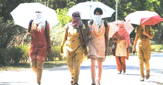 IMD Predicts Severe Heat Waves This Summer: These Steps Can Keep You Safe