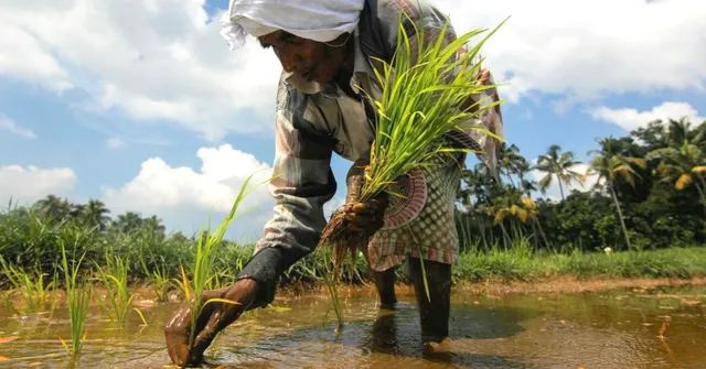 For Advice, Schemes & Tips: Kerala Farmers Now Get Their Own Radio Broadcast