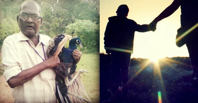 100 Birds & Counting: A Grandfather's Last Wish Fuels This 'Peacock Valley'