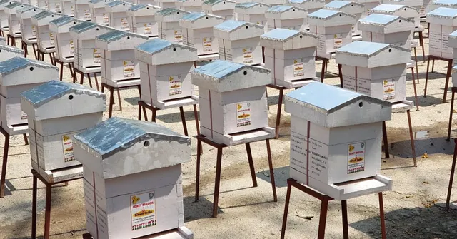 KVIC Sets 'Honey Mission' World Record, Gives 1000 Bee-Boxes to Kaziranga Tribals!
