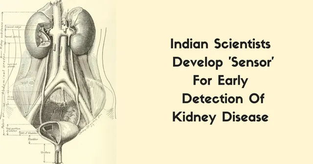 Indian Scientists Develop 'Sensor' For Early Detection of Chronic Kidney Disease