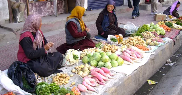 Zero-Energy Hibernation Hubs Helps Ladakh Village Grow & Sell Veggies at 12000 Ft!
