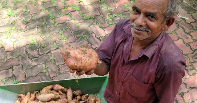 Kerala Govt's Smart Kitchen Gardens Will Let You Grow Your Own Food at Home!