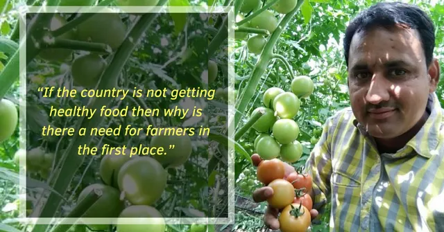 A Farmer's Step-By-Step Guide To Making The Switch to Organic Farming!