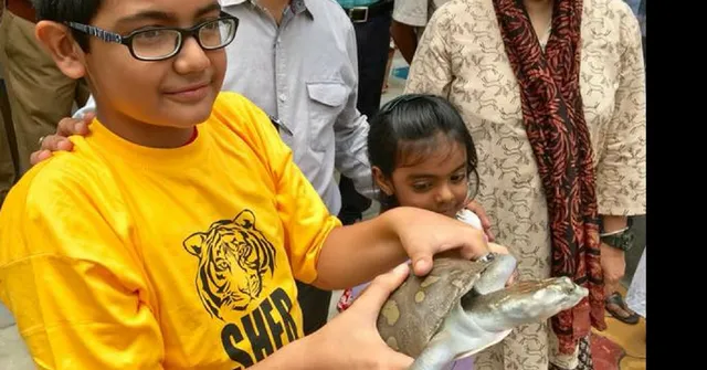13-Year-Old Boy Sees Turtle Being Sold. What He Did Next Will Leave You Inspired!