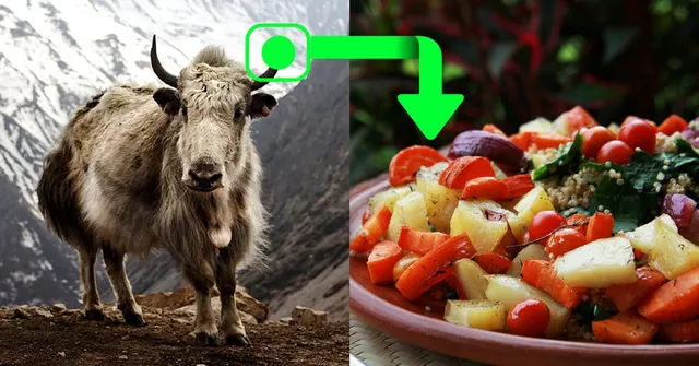 Veg Diets Just Got More Nutritious With Enzyme From Yak Cheese. Here's Why!