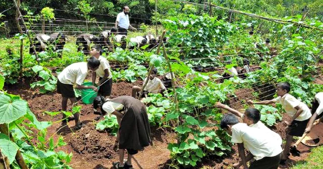 Govt School Makes ₹3-4 Lakh/Year from Farm, Funds Its Own Transformation!