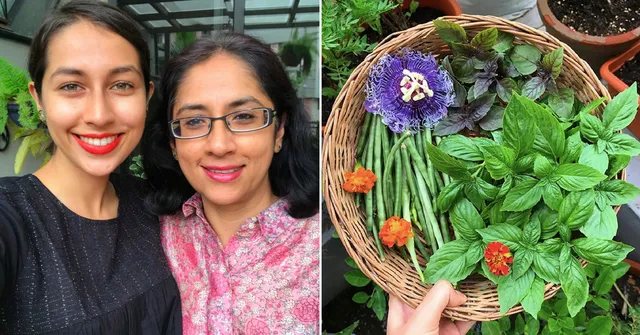 From 6 Types of Basil to Passion Fruit, Kochi Woman's Edible Garden Has It All!