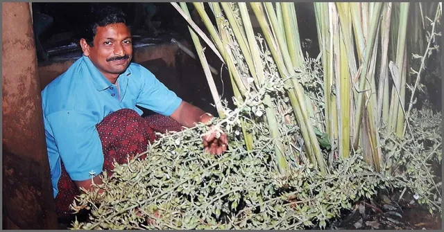 3-Feet-Long Carrots to Cauliflowers that Weigh 25 kg! Meet 4 Innovative Farmers