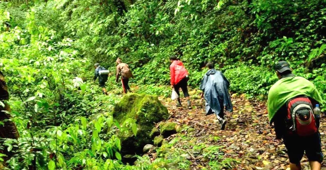 Heading to the Jungle? 5 Tips You Should Keep in Mind to Have a Happy & Green Trek