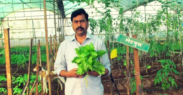 Maha Farmer Pays off Rs 10 Lakh Loan, Helps Create Rs 400 Cr Turnover! Here's How
