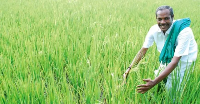 Tribute: 'Nel' Jayaraman, The Crusader Who Revived 170+ Native Paddy Varieties!