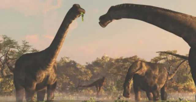 Discovery of Dinosaurs: The Fascinating Story of India's Prehistoric Residents!