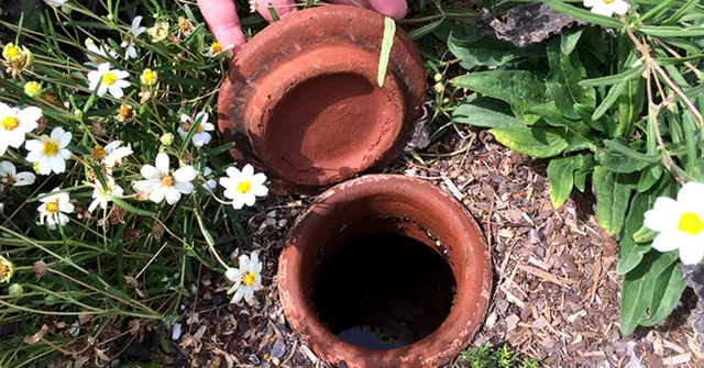 Bhungroo to Olla: 5 Simple Ideas That Can Help Farmers Save Water in Summer